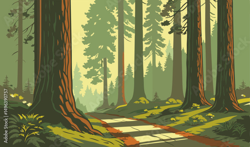 beautiful view of redwood national park california