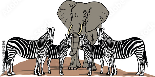 one elephant and 4 zebras in the savanna