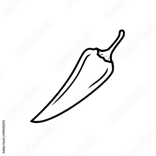vector illustration of a chili pepper