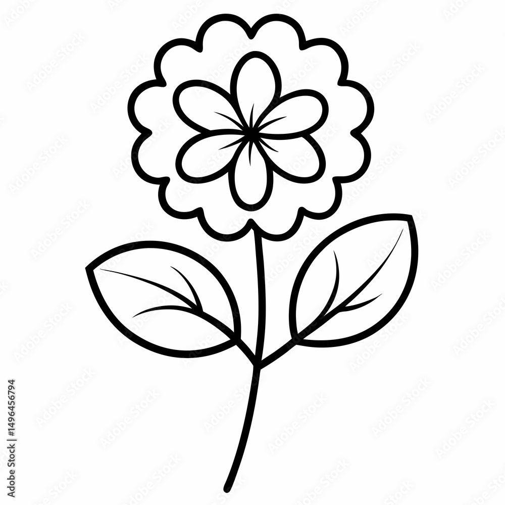 Obraz premium Alchemilla cute flower line art on white Background