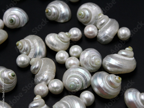 White pearls and sea snail shells with shiny mother-of-pearl on white background, delicate decor for jewelry and interior.