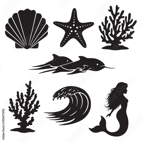 Vector illustrations of marine life including a mermaid shell starfish dolphin and coral reef silhouette set