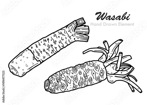 vector illustration of a Wasabi.