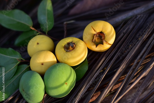 Gold Apple, Diospyros decandra Lour. Thai fruit and Thai herb, Diospyros decandra Lour, goldapple, Diospyros decandra Lour fruit ( Ebenaceae ) gold apple ,fruit and herb photo