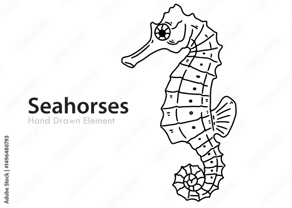 Fototapeta premium funny cartoon Seahorses