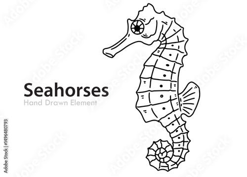 funny cartoon Seahorses