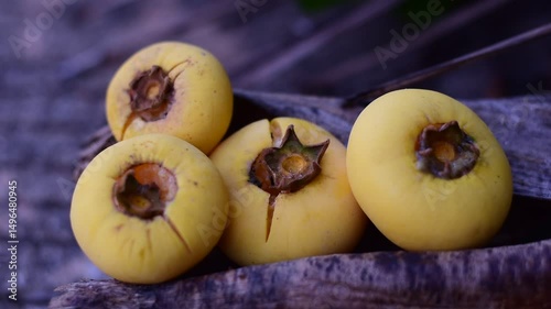 Gold Apple, Diospyros decandra Lour. Thai fruit and Thai herb, Diospyros decandra Lour, goldapple, Diospyros decandra Lour fruit ( Ebenaceae ) gold apple ,fruit and herb photo