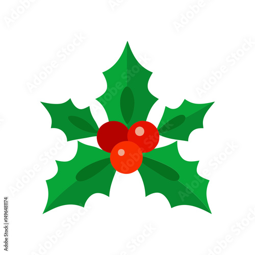 christmas holly berry leaves vector art