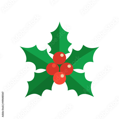 christmas holly berry leaves vector art