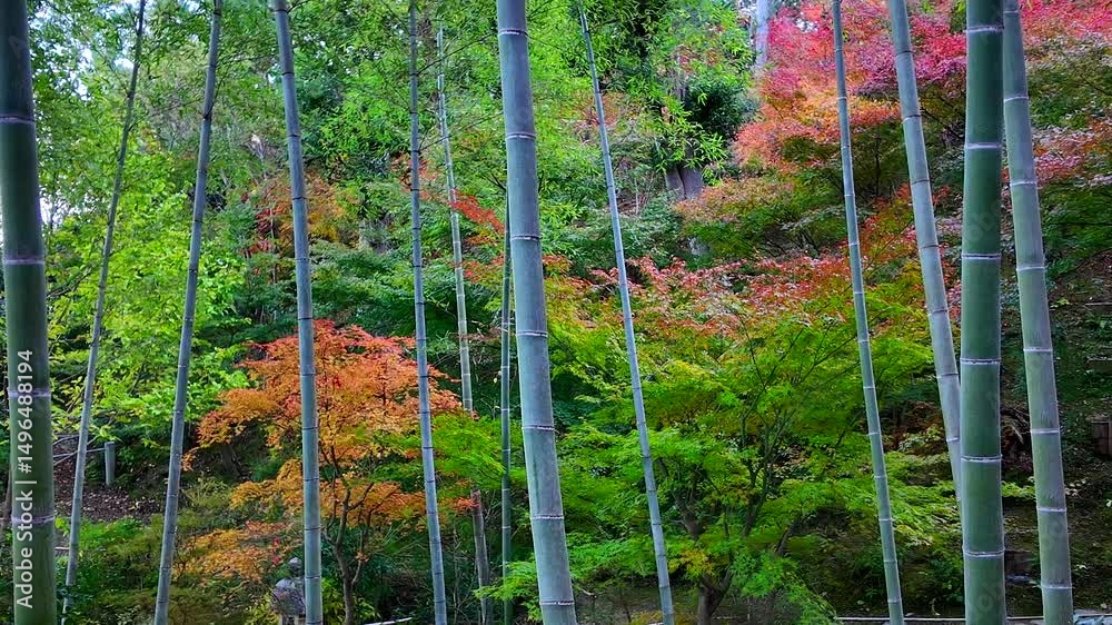 京都