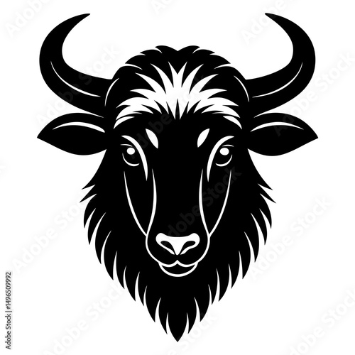 head of a bull