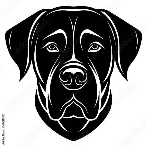 black labrador puppy