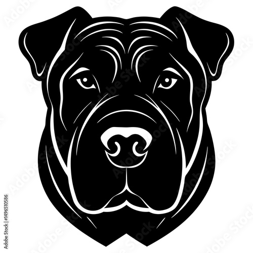 black labrador retriever