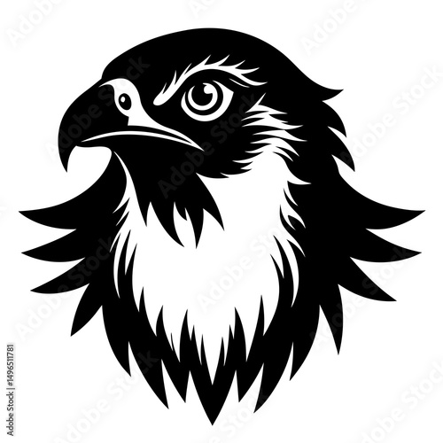 eagle vector illustration