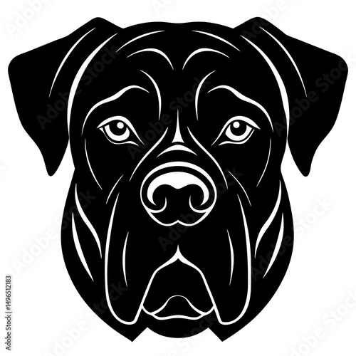 black labrador retriever