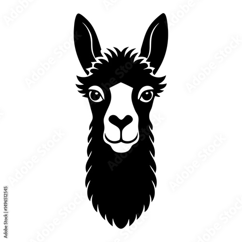 illustration of a donkey