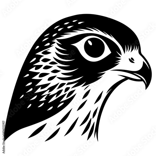 eagle vector illustration