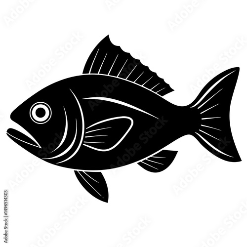 fish on a white background