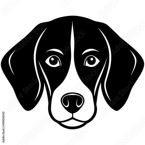 beagle dog face