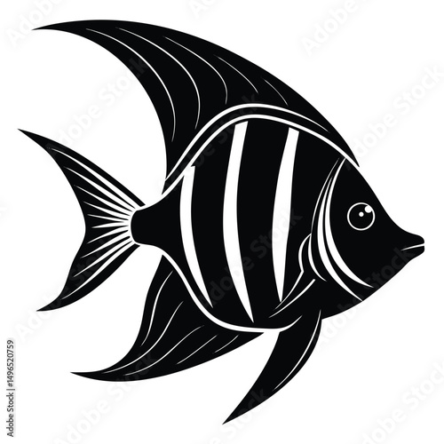 fish vector illustration