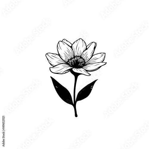 Minimalist floral illustration showcasing delicate petals and botanical elegance