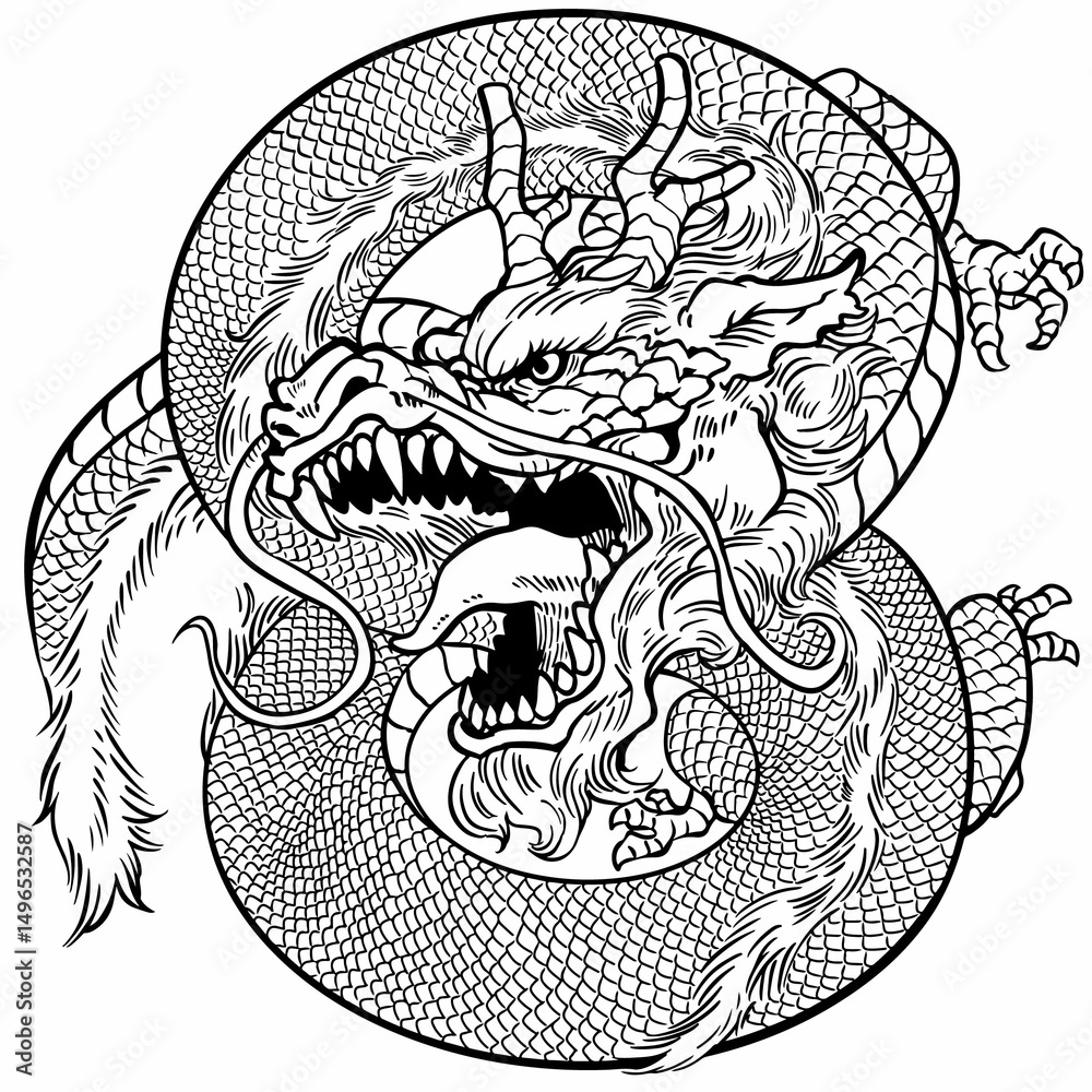 Fototapeta premium Coiled Dragon Line Art