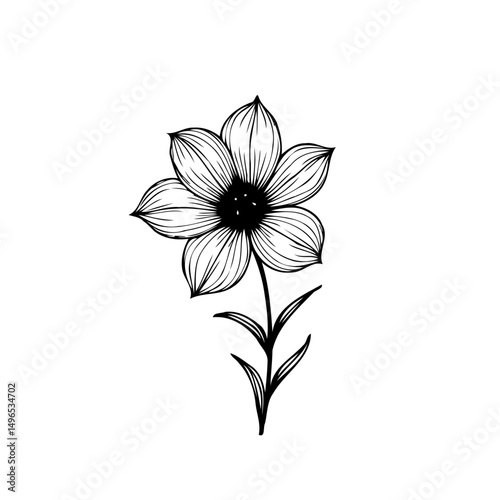 Elegant floral botanical illustration with intricate linework on white canvas