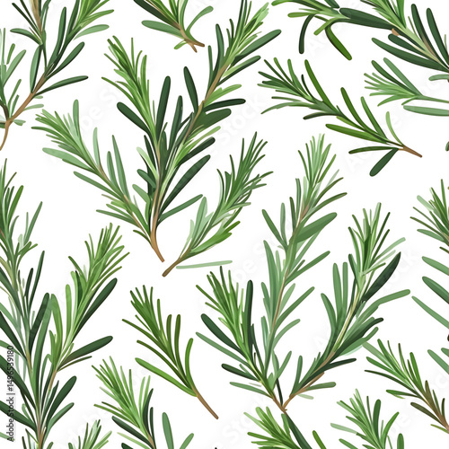 Rosemary herb seamless pattern organic flavor background