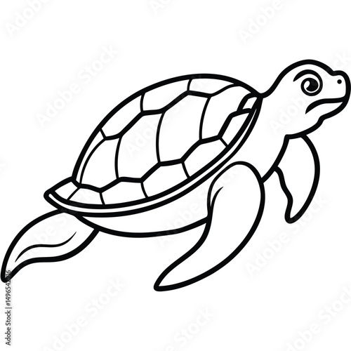 vector illustration of turtle
