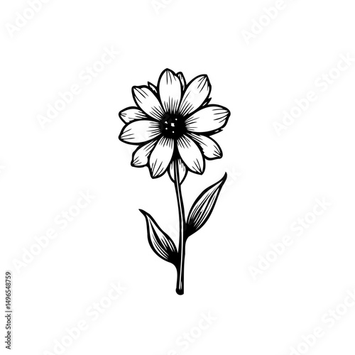Detailed monochrome drawing of a delicate flower with a slim stem and leaves
