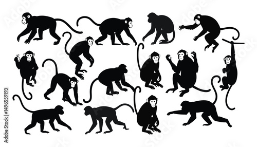 Monkey Silhouette Vector Clipart with white background .