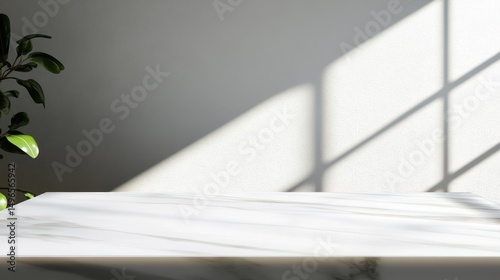 Marble Tabletop with Sunlight and Plant