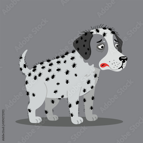 Dog with Many Bugs Crawling Its Fur Showing Unhappy Expression