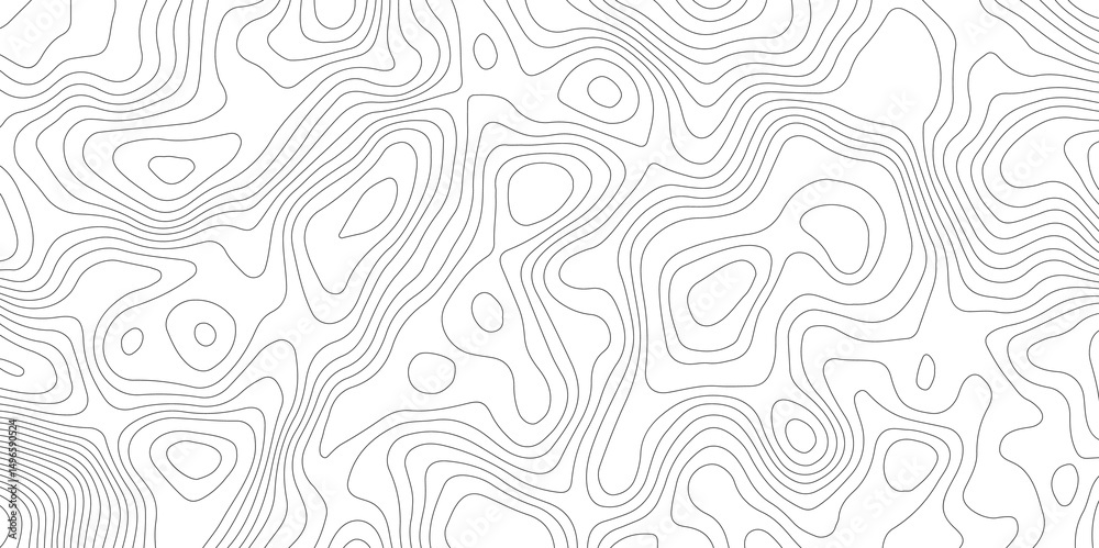 abstract topographic map with contour lines terrain in black and white style, illustrating elevation changes and geographical features with precision. abstract topographic map with contour lines terrain in black and white style, illustrating elevation changes and geographical features with precision.
