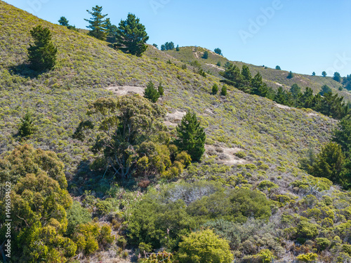 Photography Aerial view of residential neighborhoods, coastal roads, and the Pacific Ocean from the hillside above Linda Mar Valley in Pacifica, California