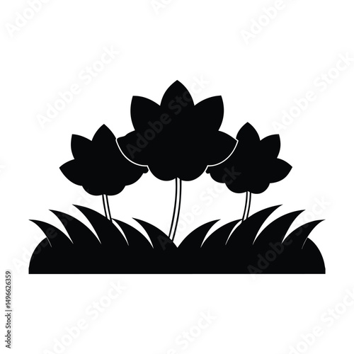 Silhouette of a Flower bed
