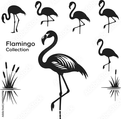 Flamingo silhouette collection with standing poses, and wetland elements black vector illustration for bird wildlife and tropical designs
