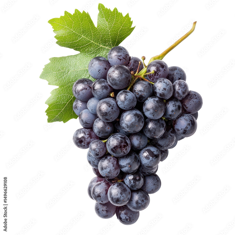 Fototapeta premium Fresh dark grapes isolated on a white background showcasing their rich color and texture, grapeisolated on white background