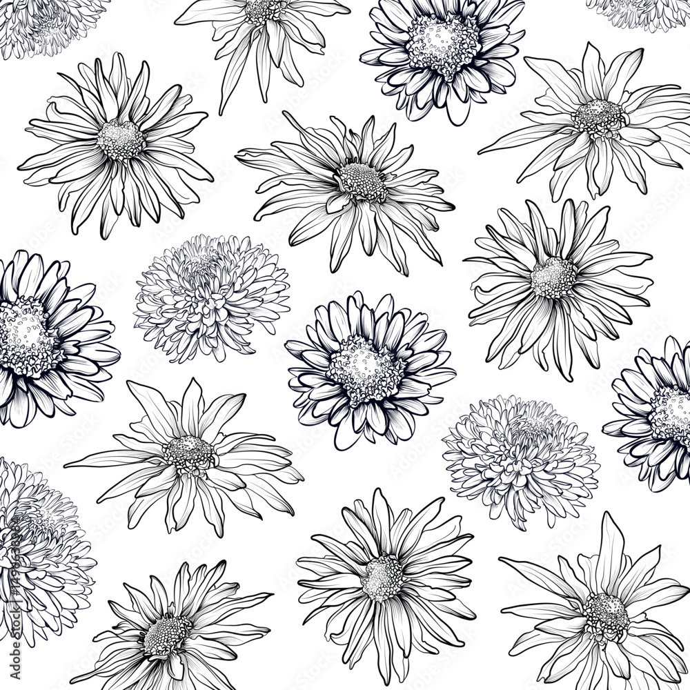 Obraz premium Chrysanthemum daisy floral contour pattern vector