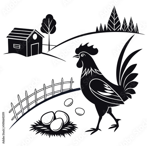 rooster