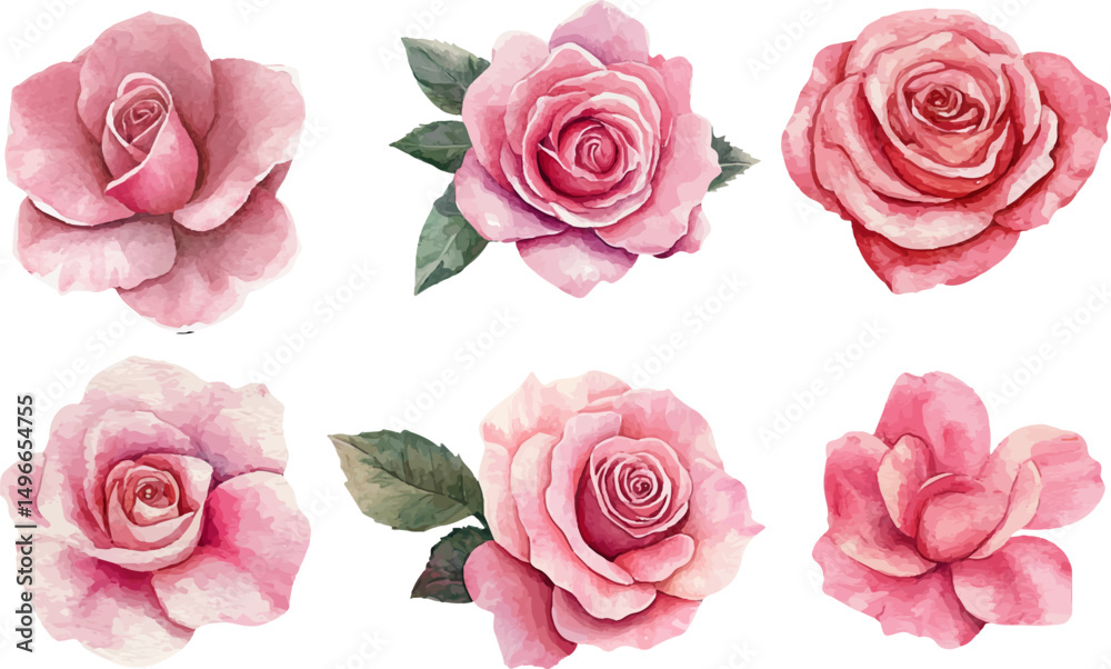 Naklejka premium set of pink roses