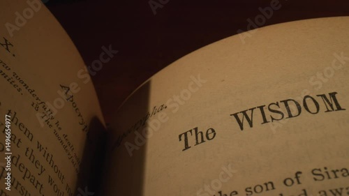 Close Up of Ancient Bible Page Son of Sirach Chapter One Historical Text 20