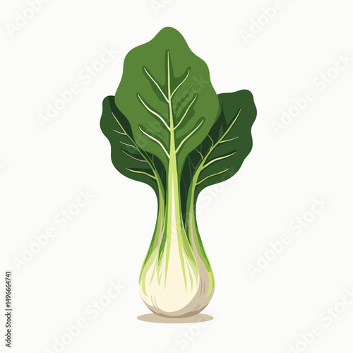 Illustration of Fresh Green Bok Choy Vegetable on White Background, Healthy Eating Concept