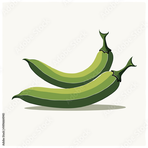 Two Green Jalapeno Peppers Vector Illustration on White Background, Fresh and Spicy Ingredient for Cooking