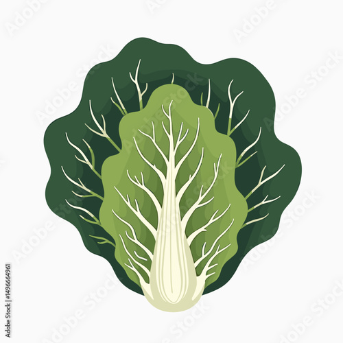 Fresh Green Bok Choy Vegetable Vector Illustration for Healthy Eating and Culinary Design