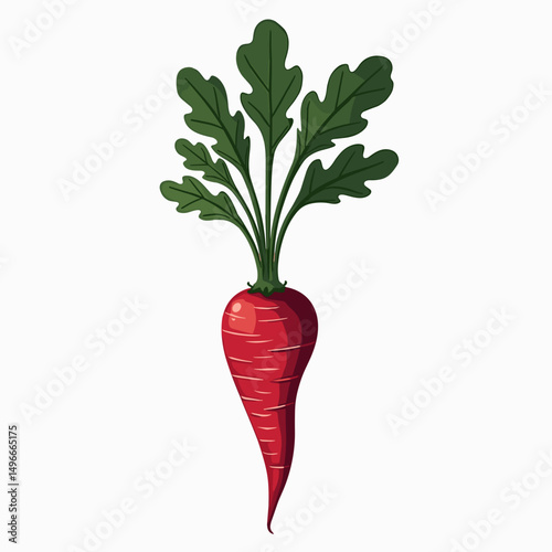 Illustration of a Vibrant Red Beet with Green Leaves on a White Background, Healthy Eating and Fresh Produce