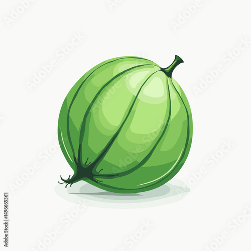 Illustration of a Fresh Green Gooseberry Fruit with Stem and Leaves on a White Background
