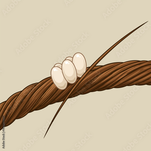 Eggs Attached to Brown Twine Vine Nature Still Life Illustration