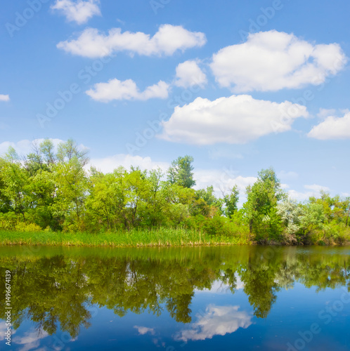 calm river with forest on coast under blue cloudy sky, summer outdoor natural landscape