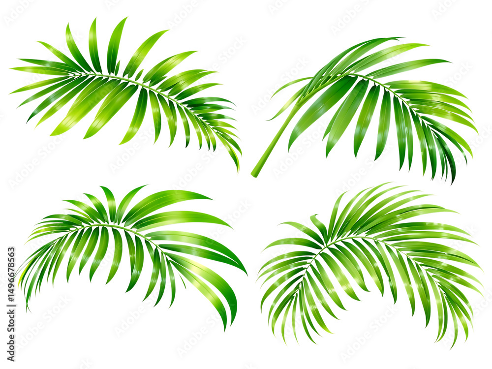 Obraz premium Four lush green palm fronds isolated on transparent background